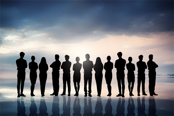 優(yōu)化組織結(jié)構(gòu)，提升協(xié)作效能，助推組織發(fā)展新高度