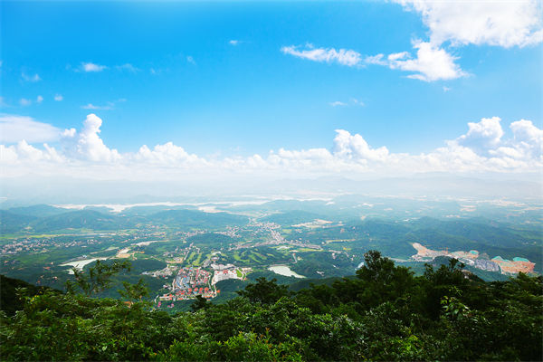 企業(yè)戰(zhàn)略飄在半空落地難，惠州戰(zhàn)略咨詢公司能錨定方向嗎？
