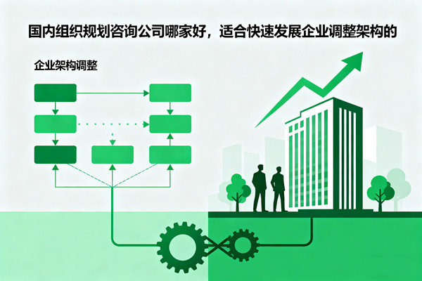 國內(nèi)組織規(guī)劃咨詢公司哪家好，適合快速發(fā)展企業(yè)調(diào)整架構(gòu)的