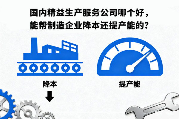 國內(nèi)精益生產(chǎn)服務(wù)公司哪個好，能幫制造企業(yè)降本還提產(chǎn)能的？