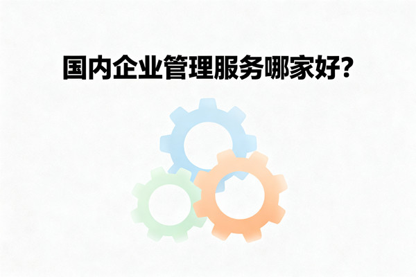 國內(nèi)企業(yè)管理服務(wù)哪家好？
