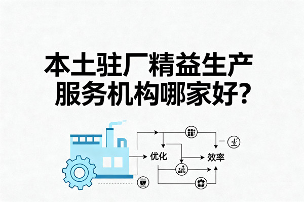 本土駐廠精益生產(chǎn)服務(wù)機(jī)構(gòu)哪家好？